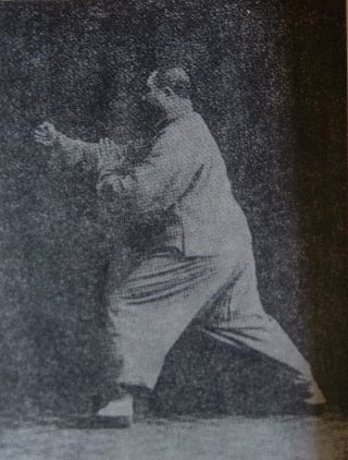 Yang Chengfu